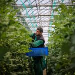 Bayer Foundation Fellowships 2026 Application Is Now Open. Apply Today.