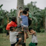 UNESCO Youth Storytelling Contest 2026 Now Open